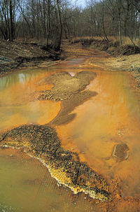 Iron hydroxide precipitate stains a stream receiving acid drainage from surface coal mining.